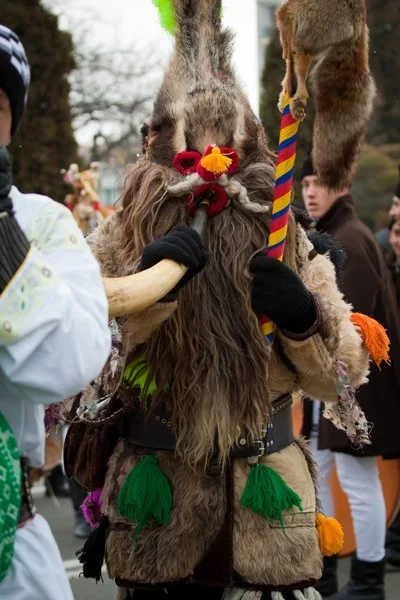 Steaua sus rasare Festival 2011