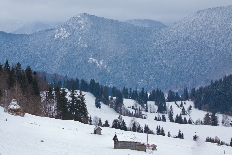 Cheile Bicajelului iarna