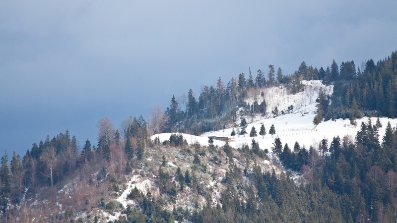 Cheile Bicajelului iarna