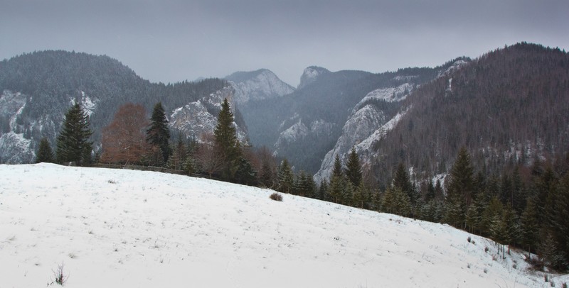 Cheile Bicajelului iarna