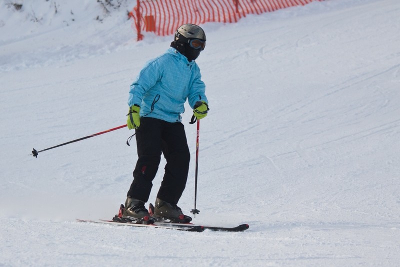 Partia de schi Cozla 2012