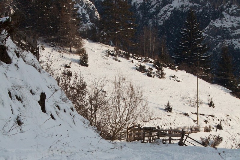 Peisaje de iarna Barnadu Cheile Sugaului 2012