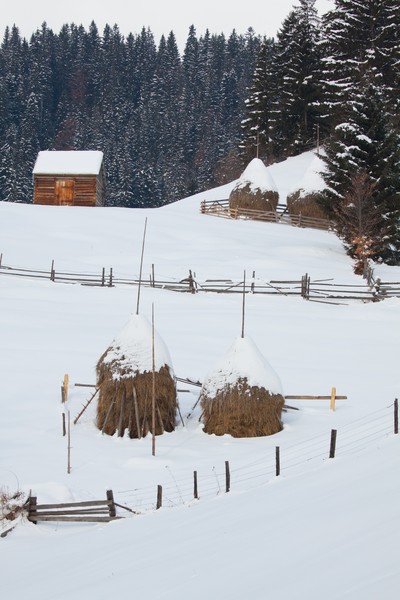Peisaje de iarna Barnadu Cheile Sugaului 2012