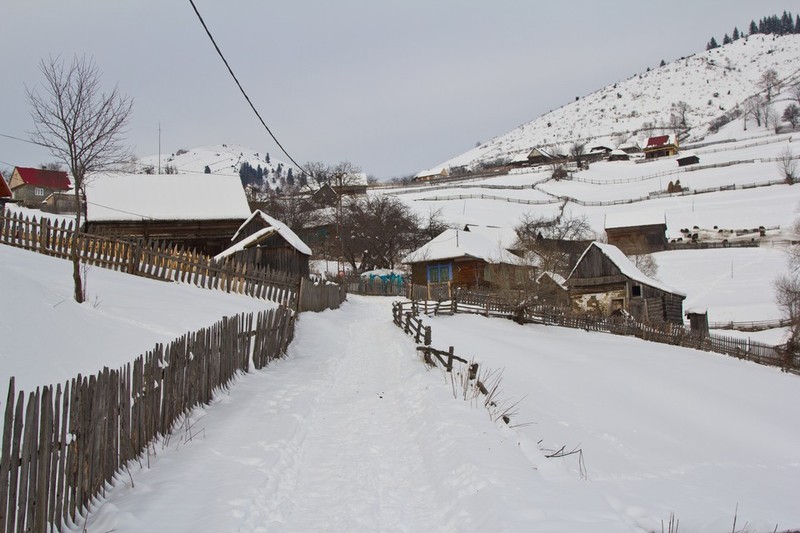 Peisaje de iarna Barnadu Cheile Sugaului 2012