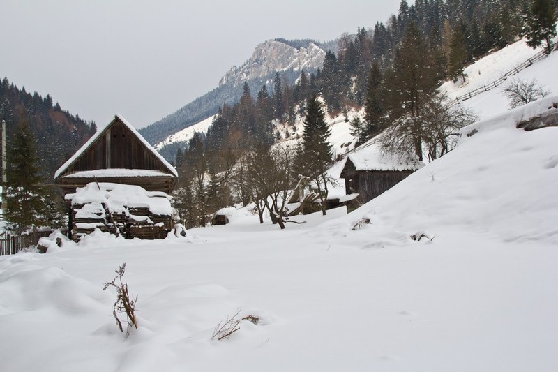 Peisaje de iarna Barnadu Cheile Sugaului 2012