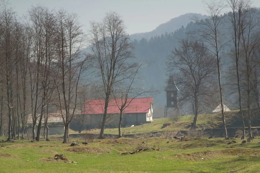 Primavara la Negulesti