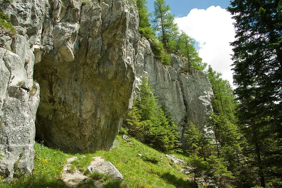 Zona Polita cu Crini - Ceahlau