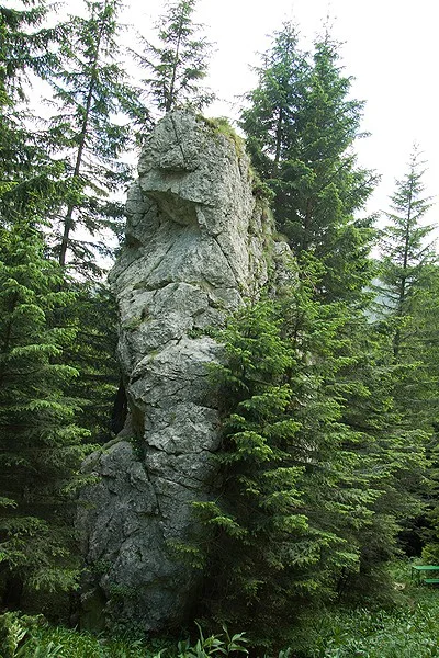 Zona Polita cu Crini - Ceahlau