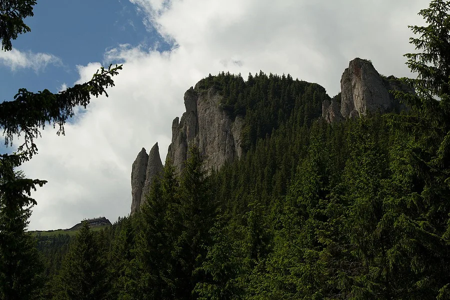 Zona Polita cu Crini - Ceahlau