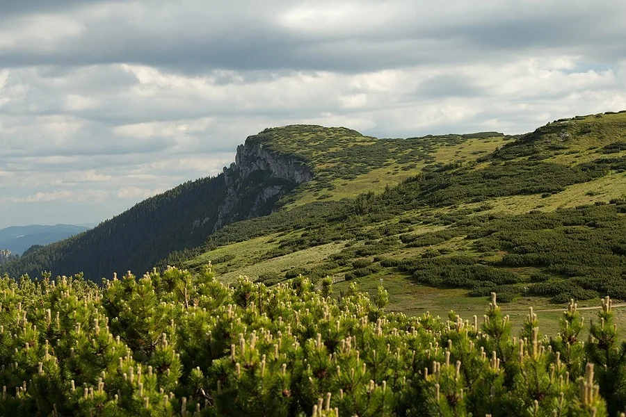 Zona Ocolasul Mare - Ceahlau