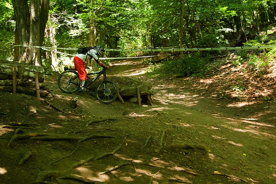 Tare ca Piatra 2012