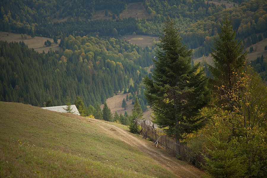 Toamna in Valea Bicajelului 2012