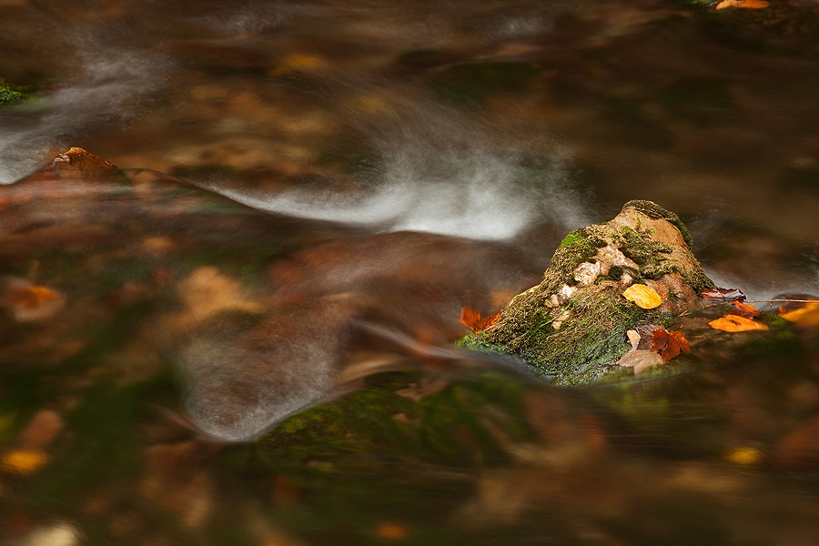 Late autumn in Neamt County 2012