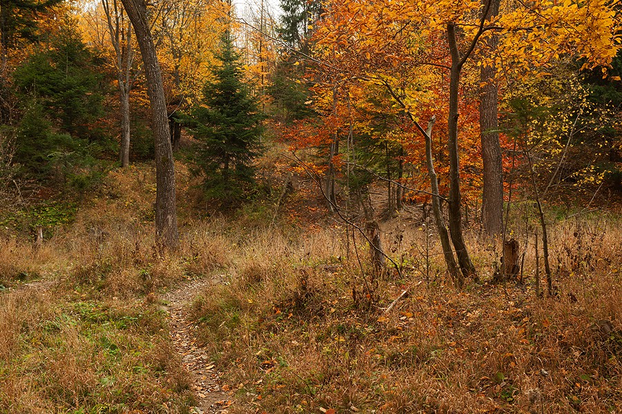 Late autumn in Neamt County 2012