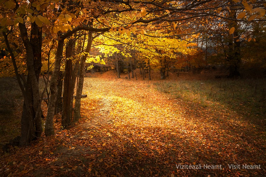 Late autumn in Neamt County 2012