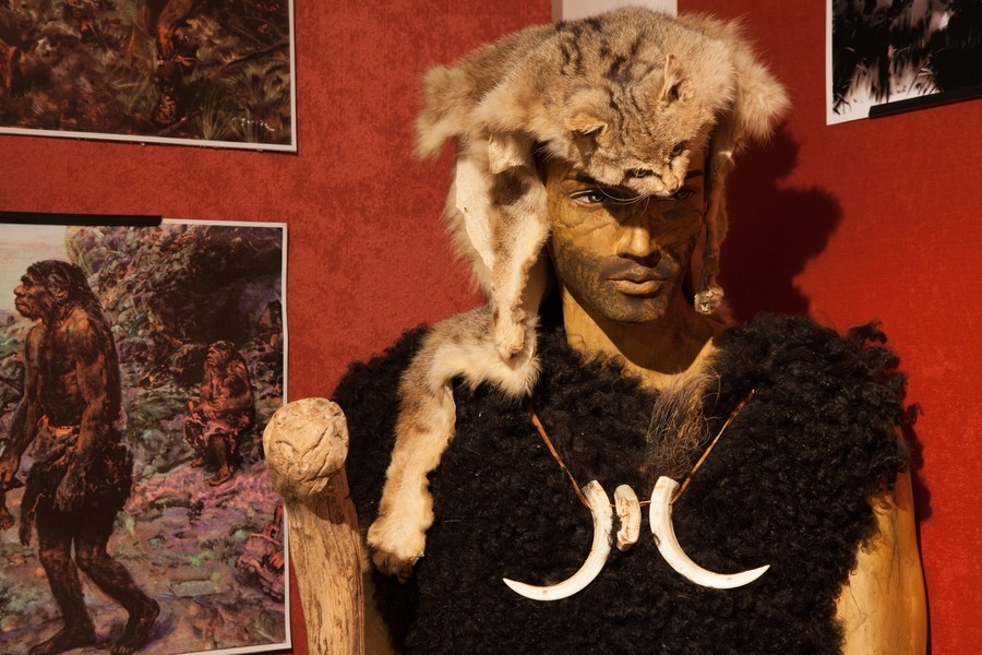 Expozitie de mamifere preistorice in Piatra Neamt