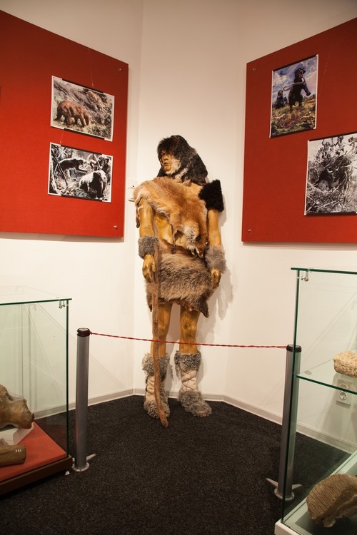 Expozitie de mamifere preistorice in Piatra Neamt