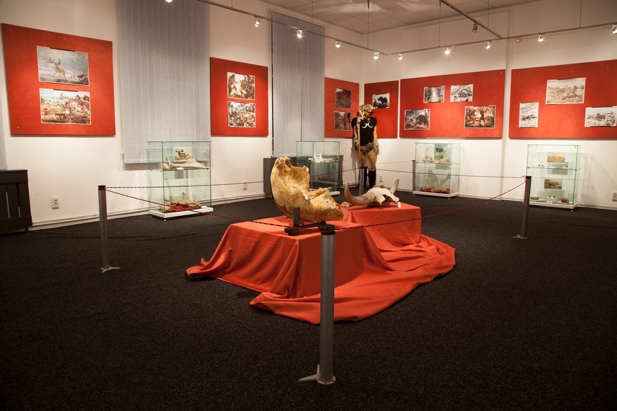Expozitie de mamifere preistorice in Piatra Neamt