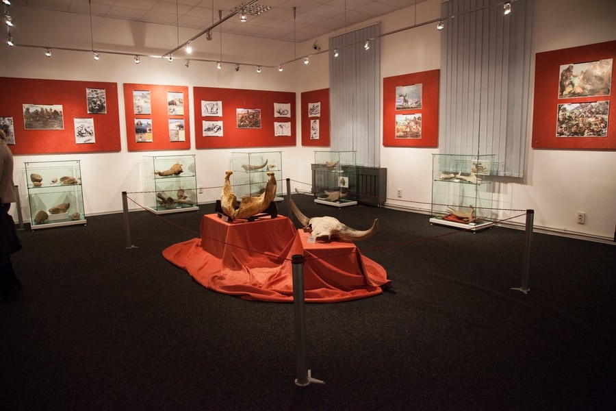 Expozitie de mamifere preistorice in Piatra Neamt