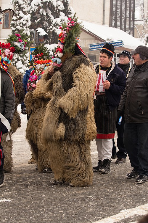 Steaua sus rasare dec 2012