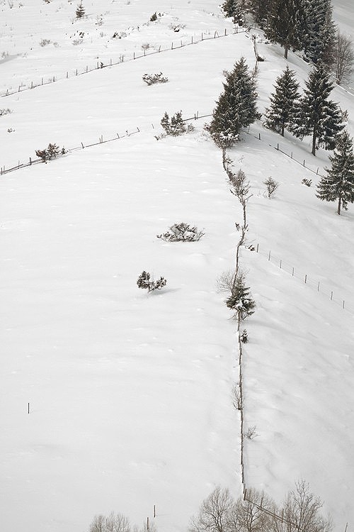 Barnadu winter 2013