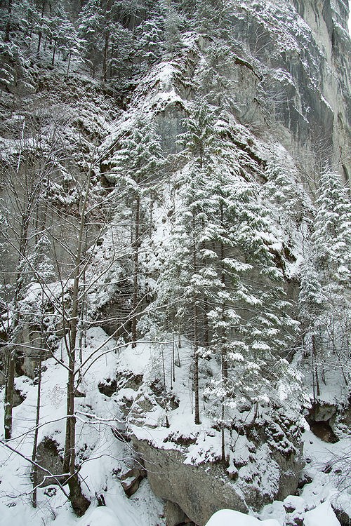 Bicaz Gorge