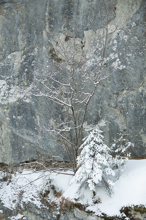 Bicaz Gorge