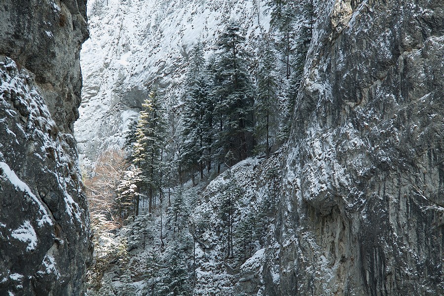 Bicaz Gorge