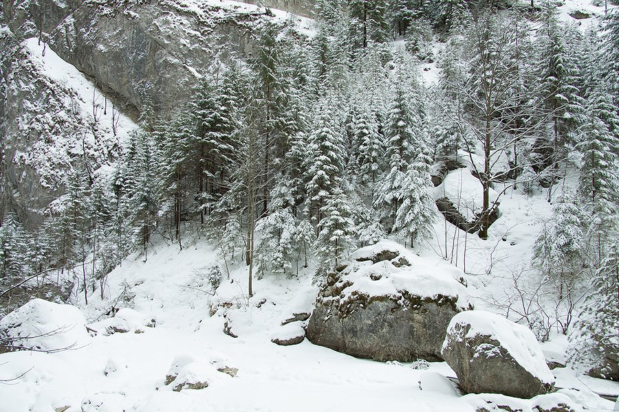 Bicaz Gorge