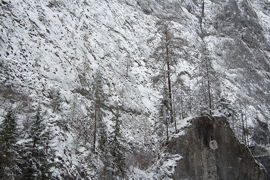 Bicaz Gorge