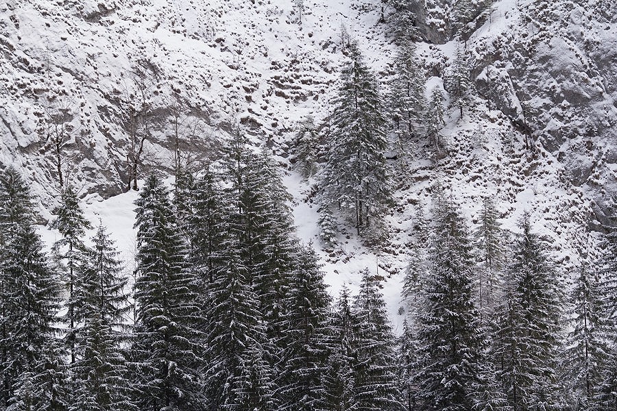 Bicaz Gorge