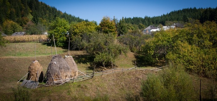 Natural parks