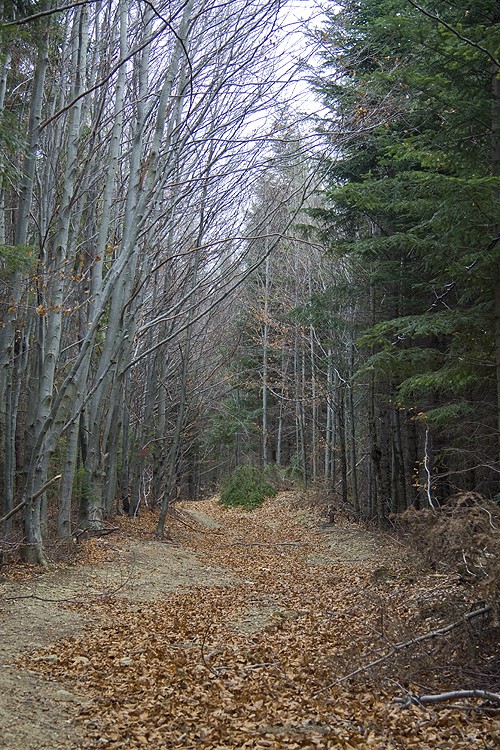 Natural parks