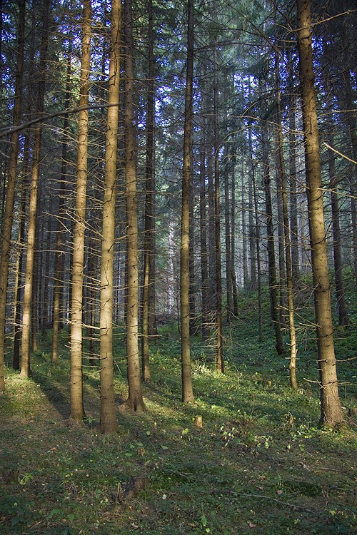 Natural parks