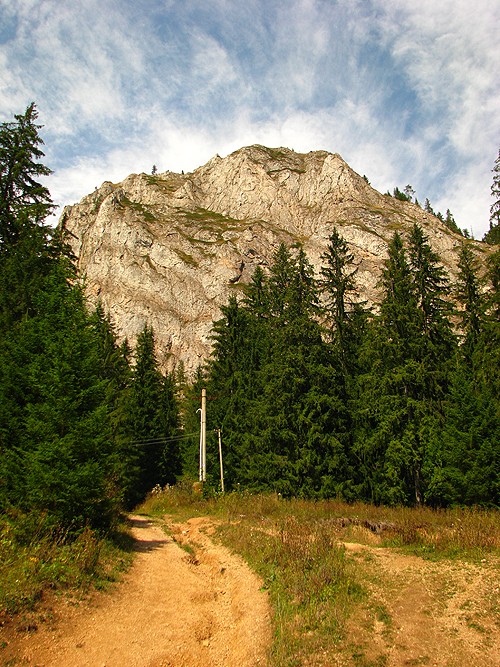 Natural parks