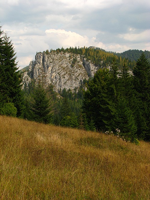 Natural parks