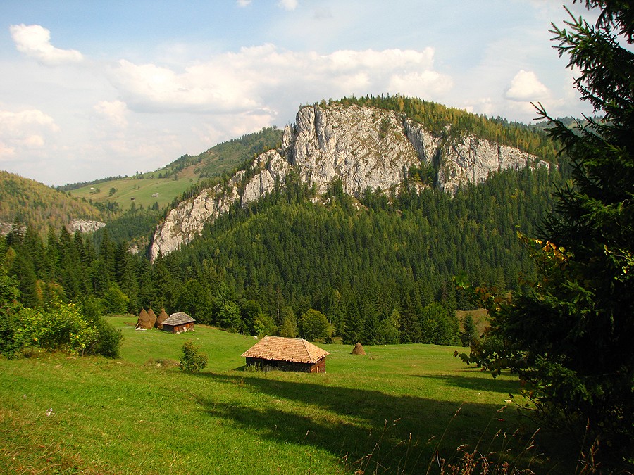Natural parks