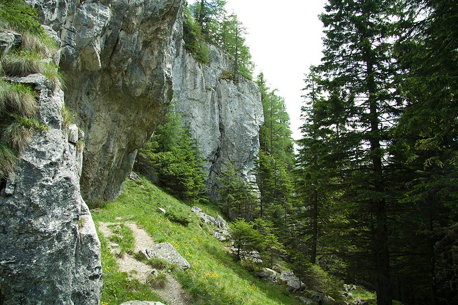 Natural parks