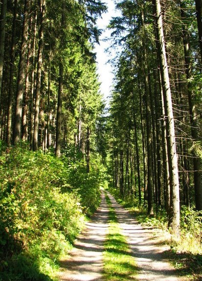 Romanian Tourism - Peak Suhard
