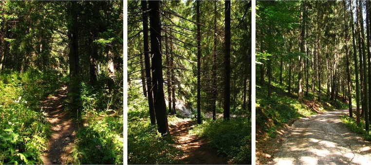 Romanian Tourism - Peak Suhard