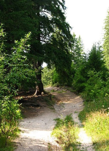 Romanian Tourism - Peak Suhard