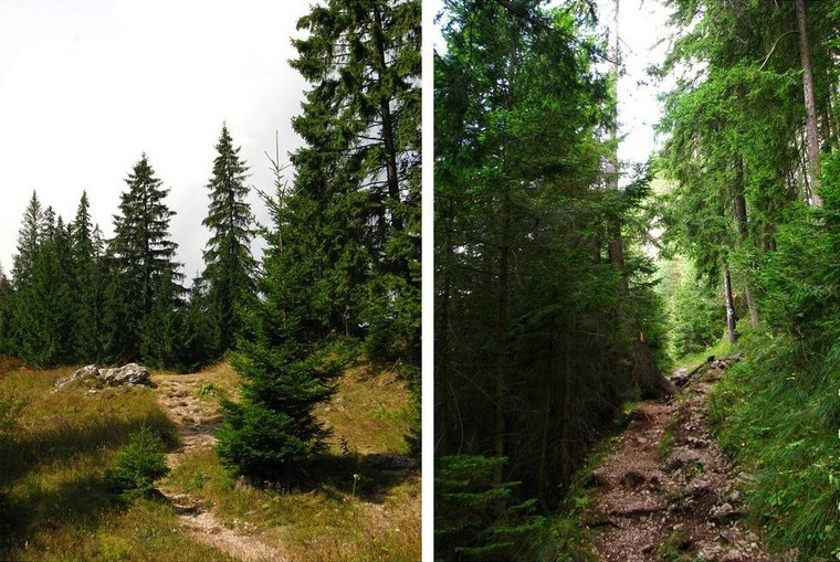 Romanian Tourism - Peak Suhard