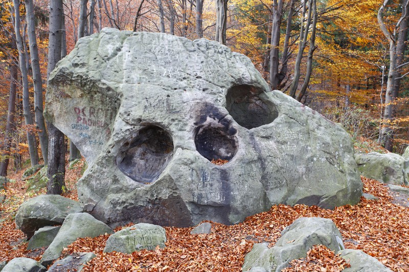 Late autumn on Cozla Mountain 2013