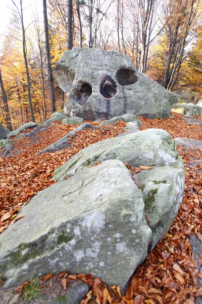 Late autumn on Cozla Mountain 2013