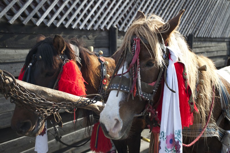Festivalul hanurilor Neamt 2013
