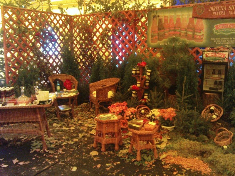 Romania Turism - Festivalul Fructelor de Padure 2008