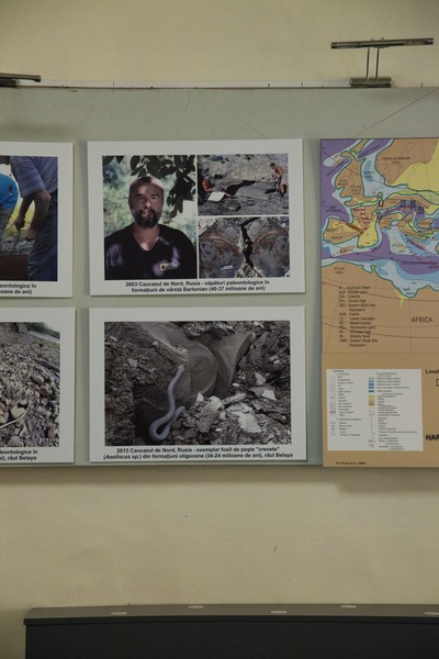 Expozitie de pesti fosili din Europa 2014