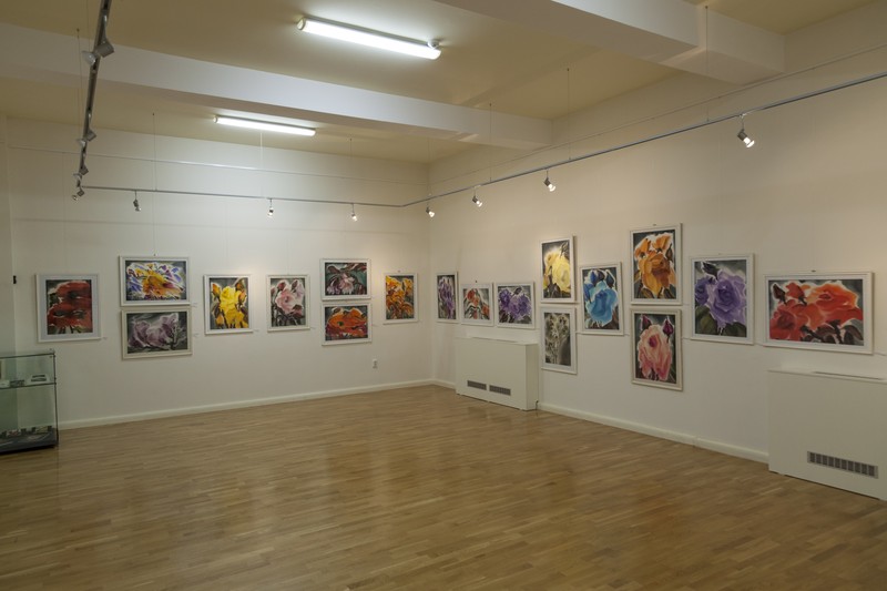 Expozitie Iulia Halaucescu 2014