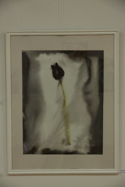 Expozitie Iulia Halaucescu 2014