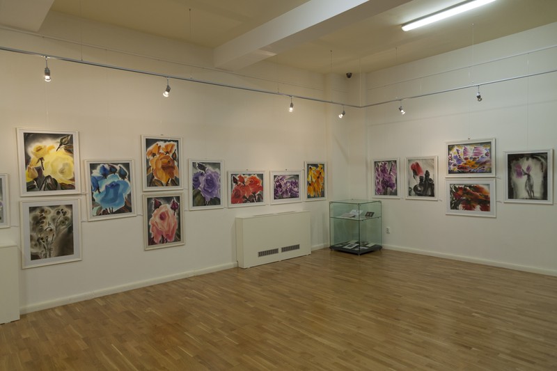 Expozitie Iulia Halaucescu 2014